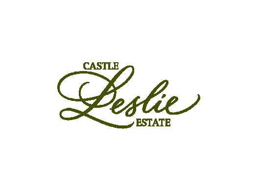 stays-starting-from-300-room-per-night-castle-leslie-estate