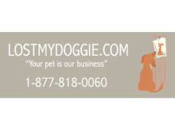 LostMyDoggie